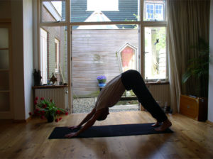 Yoga - Arien van Erkelens