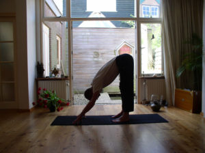 Yoga - Arien van Erkelens